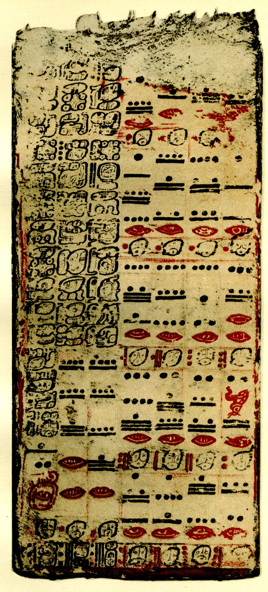 Page 24 of the Dresden Codex, the introductory page of its Venus table (black-and-white plate from Morley’s Introduction to the Study of the Maya Hieroglyphs, 1915). It is one of four surviving Maya codices; in 1562 Diego de Landa burned a large number of them at Maní.