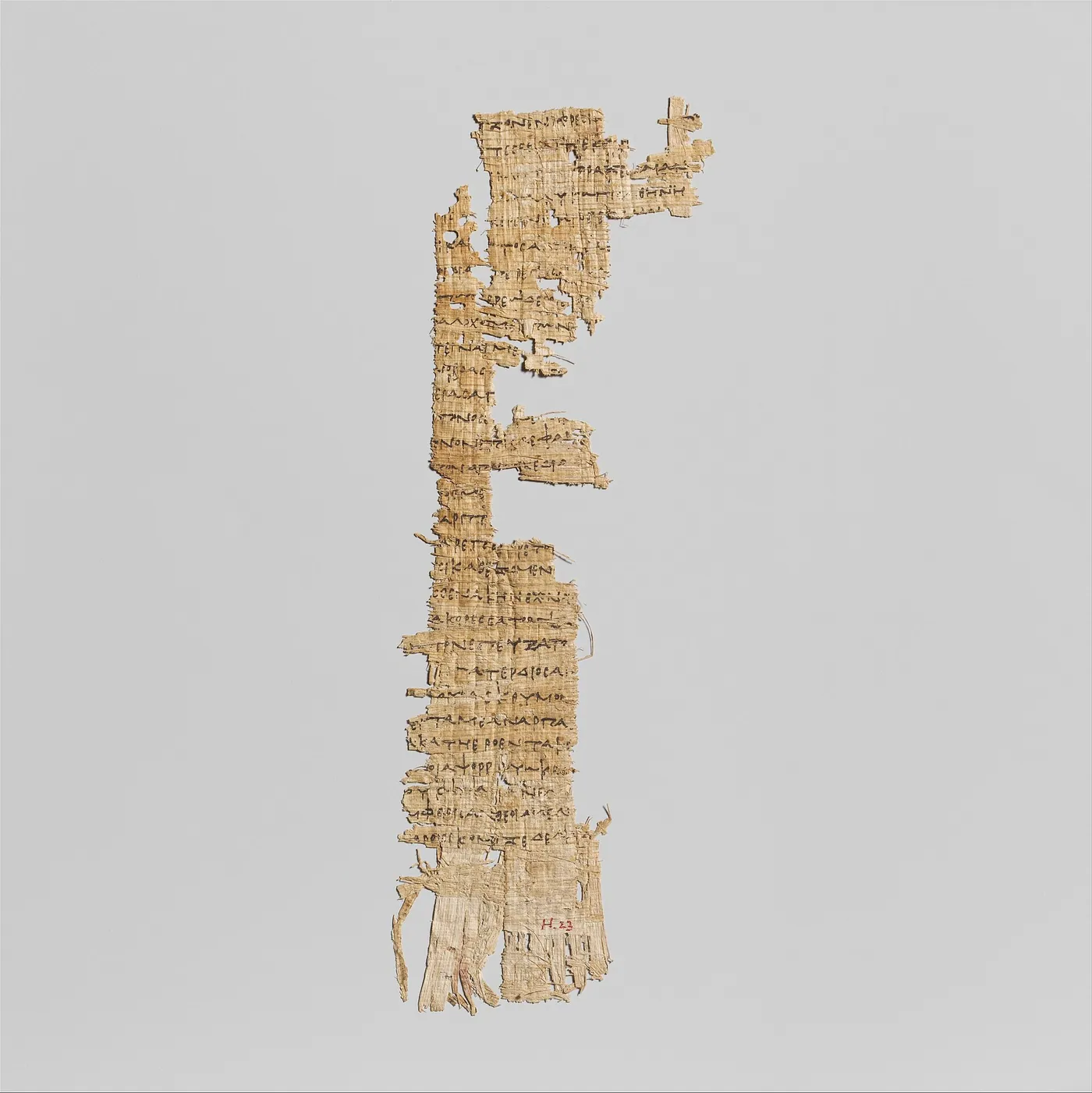 A Ptolemaic papyrus fragment with lines from Homer’s Odyssey (c. 285–250 BCE; Metropolitan Museum of Art). From ancient Egypt to the Roman Empire, most writing in the Mediterranean world was done on papyrus.
