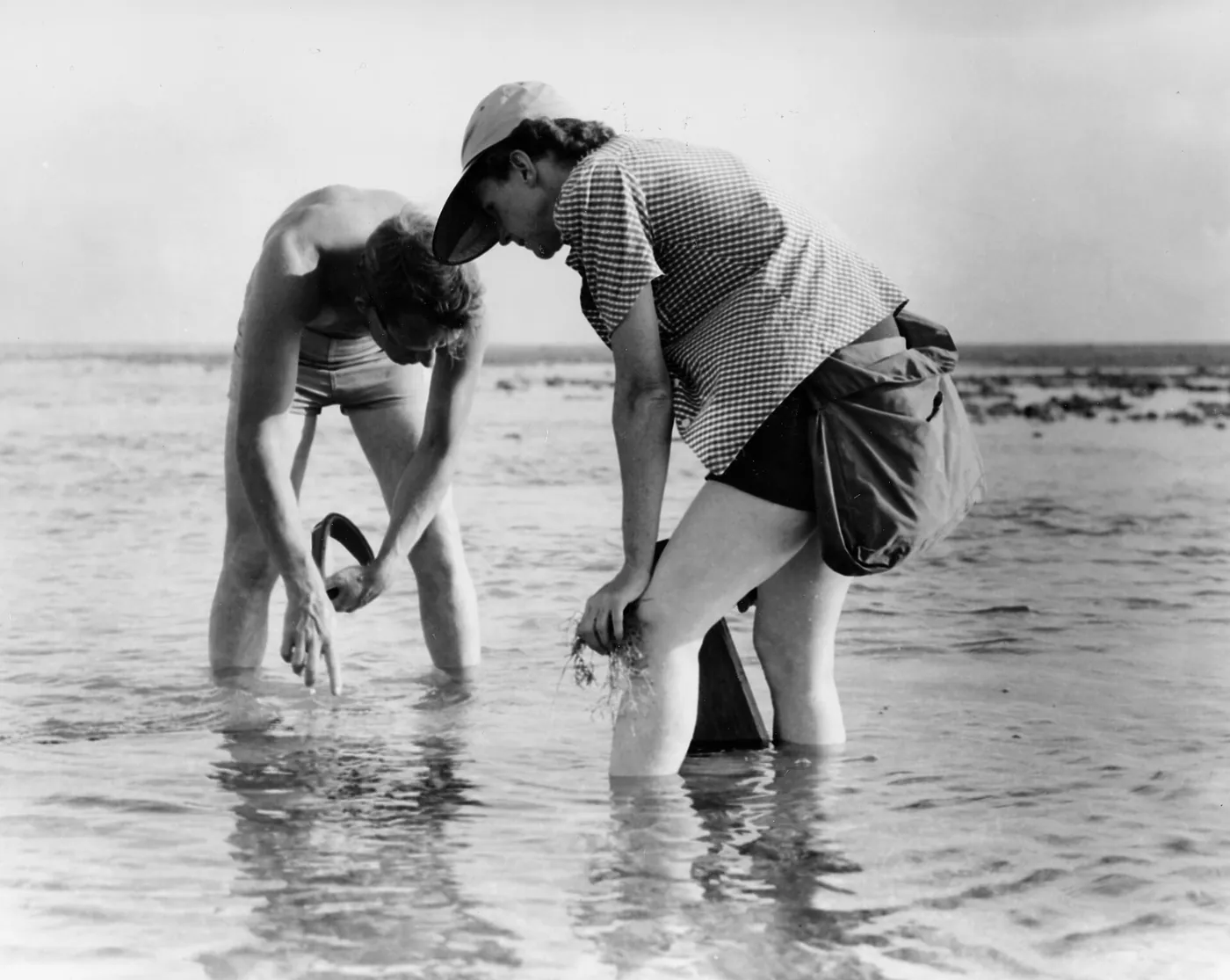 Rachel Carson doing marine-biology fieldwork on the Atlantic coast with Bob Hines, 1952 (U.S. Fish and Wildlife Service). Trained to observe the sea, she finally made the world hear the absence of birdsong on land.