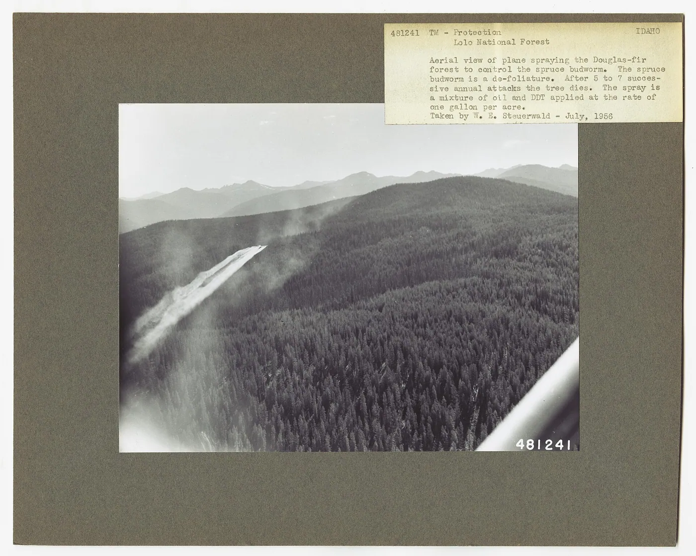 A plane spraying a mixture of DDT and oil over Douglas-fir forest to control spruce budworm, Lolo National Forest, Montana, July 1956 (USDA Forest Service photograph by W. E. Steuerwald). Six years later came Silent Spring, with Keats as its epigraph: "The sedge is wither'd from the lake, / And no birds sing."